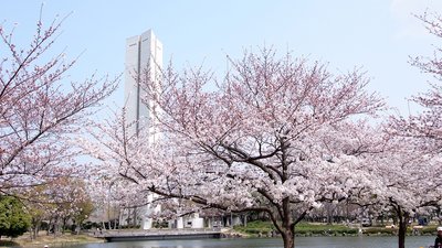 🏞️ 고성산 공원 (후루시로야마 공원)